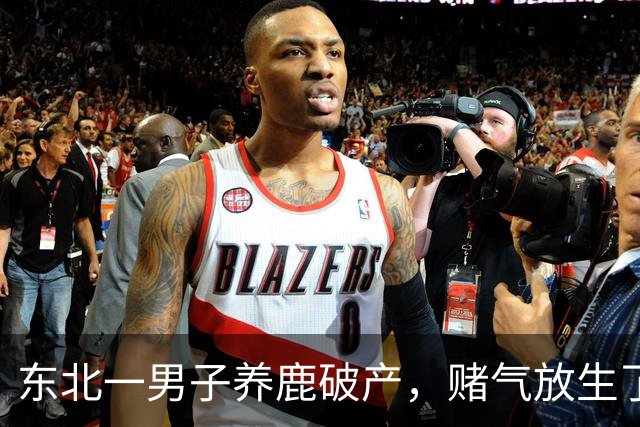 东北一男子养鹿破产，赌气放生了30头鹿，8年后上山，眼前一幕却让他泪崩了...