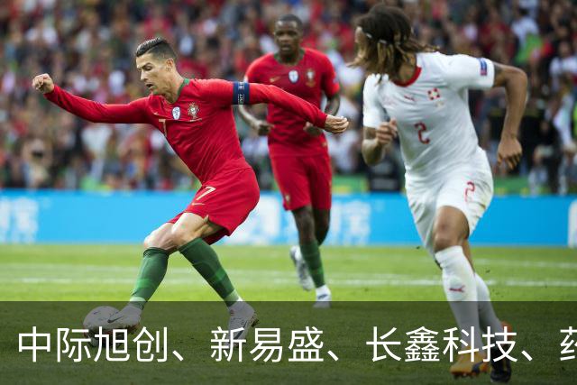 中际旭创、新易盛、长鑫科技、药明康德集体被增持，机构：当前A股不宜过度悲观
