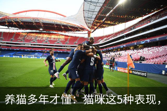 养猫多年才懂：猫咪这5种表现，不是撒娇，是旺家的征兆