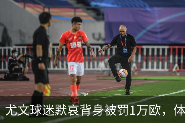尤文球迷默哀背身被罚1万欧，体育法官公告称人数稀少