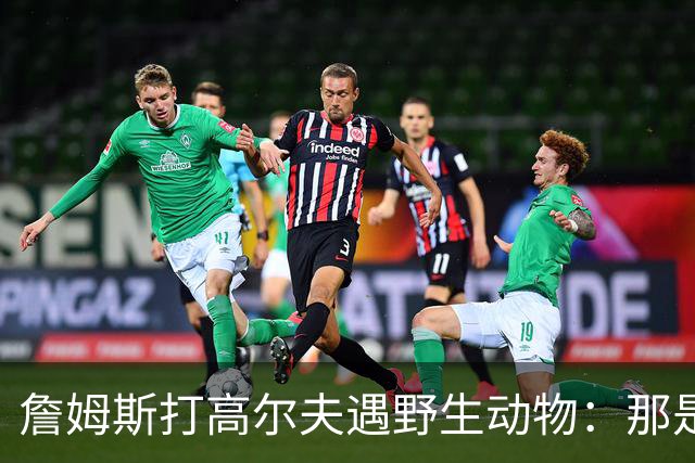 詹姆斯打高尔夫遇野生动物：那是狐狸还是郊狼？