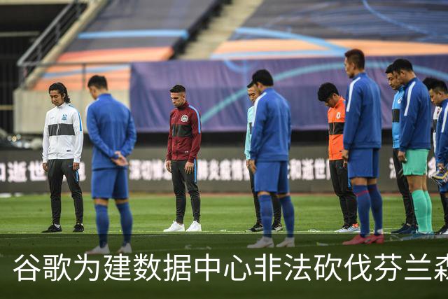 谷歌为建数据中心非法砍伐芬兰森林25万棵树，狼群被迫进村觅食