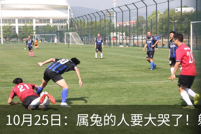 10月25日：属兔的人要大哭了！躲不掉！这都是老天爷的安排！