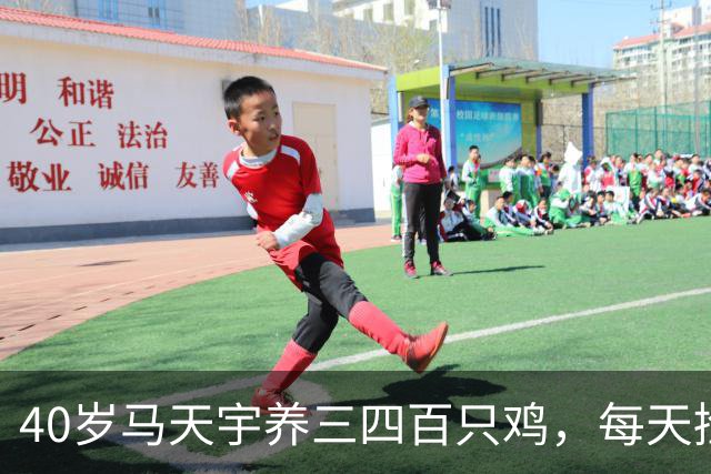 40岁马天宇养三四百只鸡，每天捡100多枚蛋，自曝钱够花便无所谓，是活明白了还是提前认输